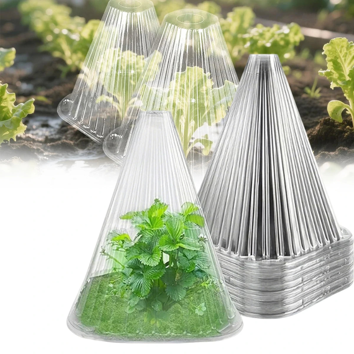 Reusable Plant Cloche Mini Greenhouse Cover 12/24 Pack