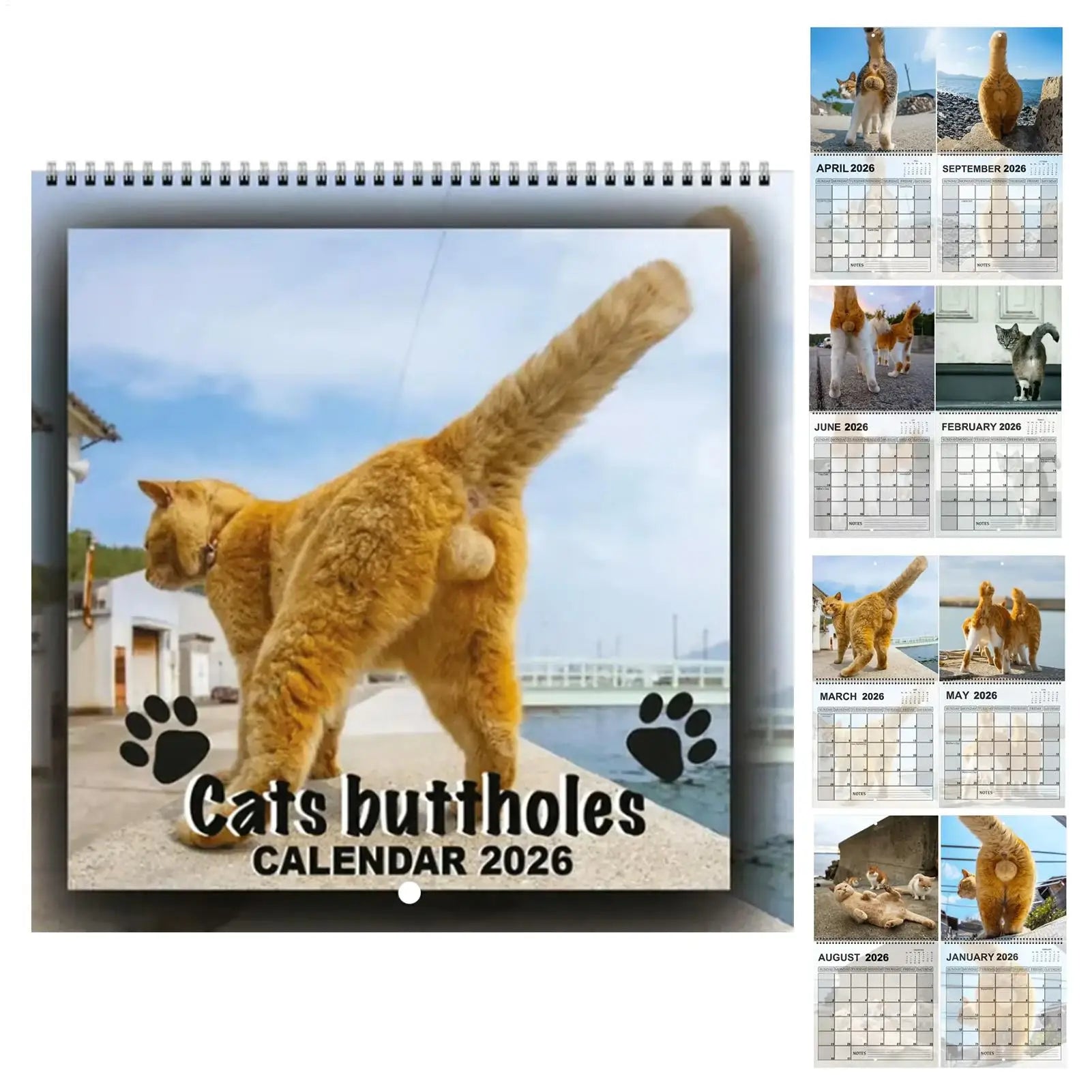 2026 Funny Cat Calendar 12 Month Wall Hanging Memes Humor Monthly