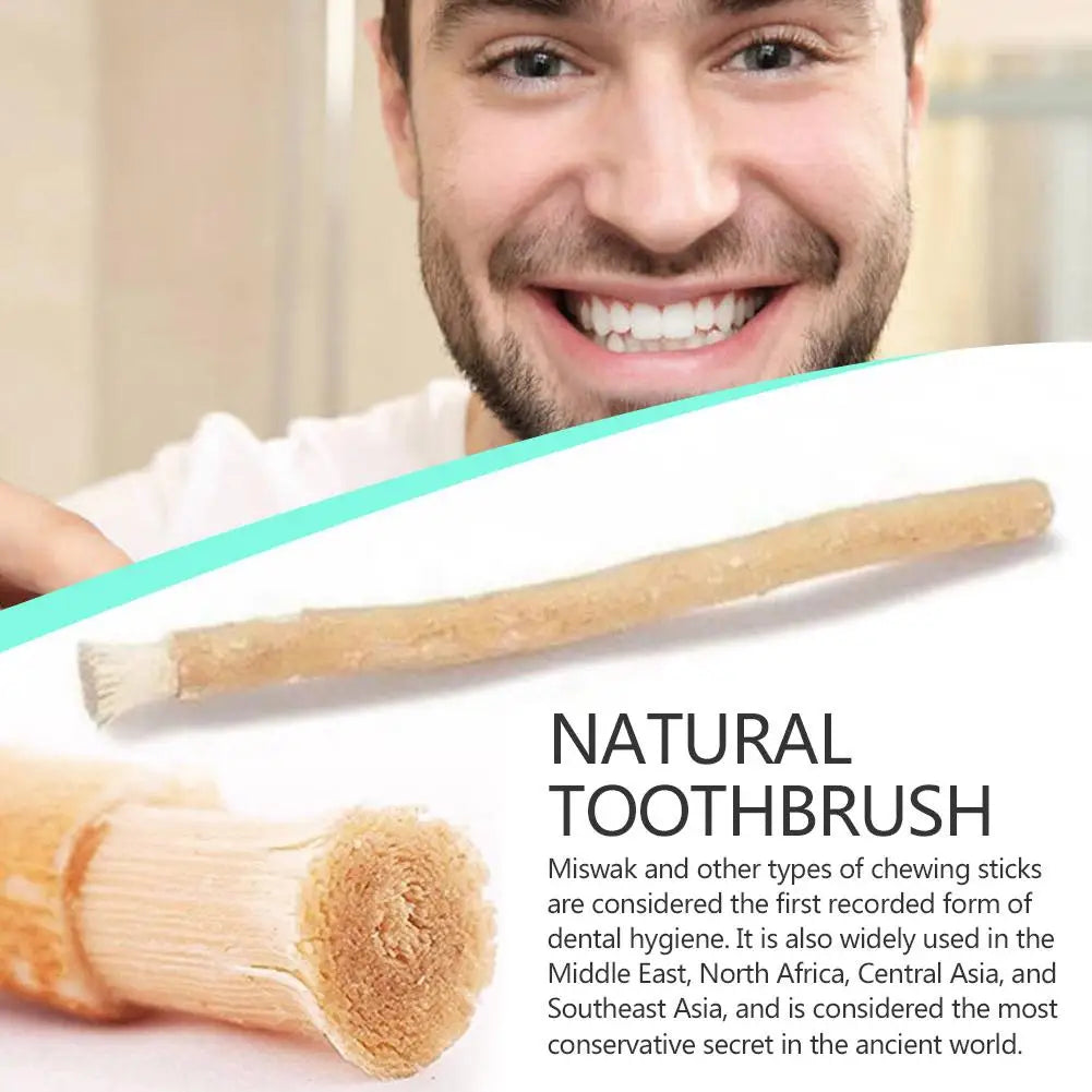 Miswak Natural Wooden Toothbrush – Siwak Arak Oral Care Stick Natural Toothbrush Zpaxo