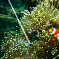 Premium Silicone Glass Coral Feeder Tube Long Flexible Aquarium Spot