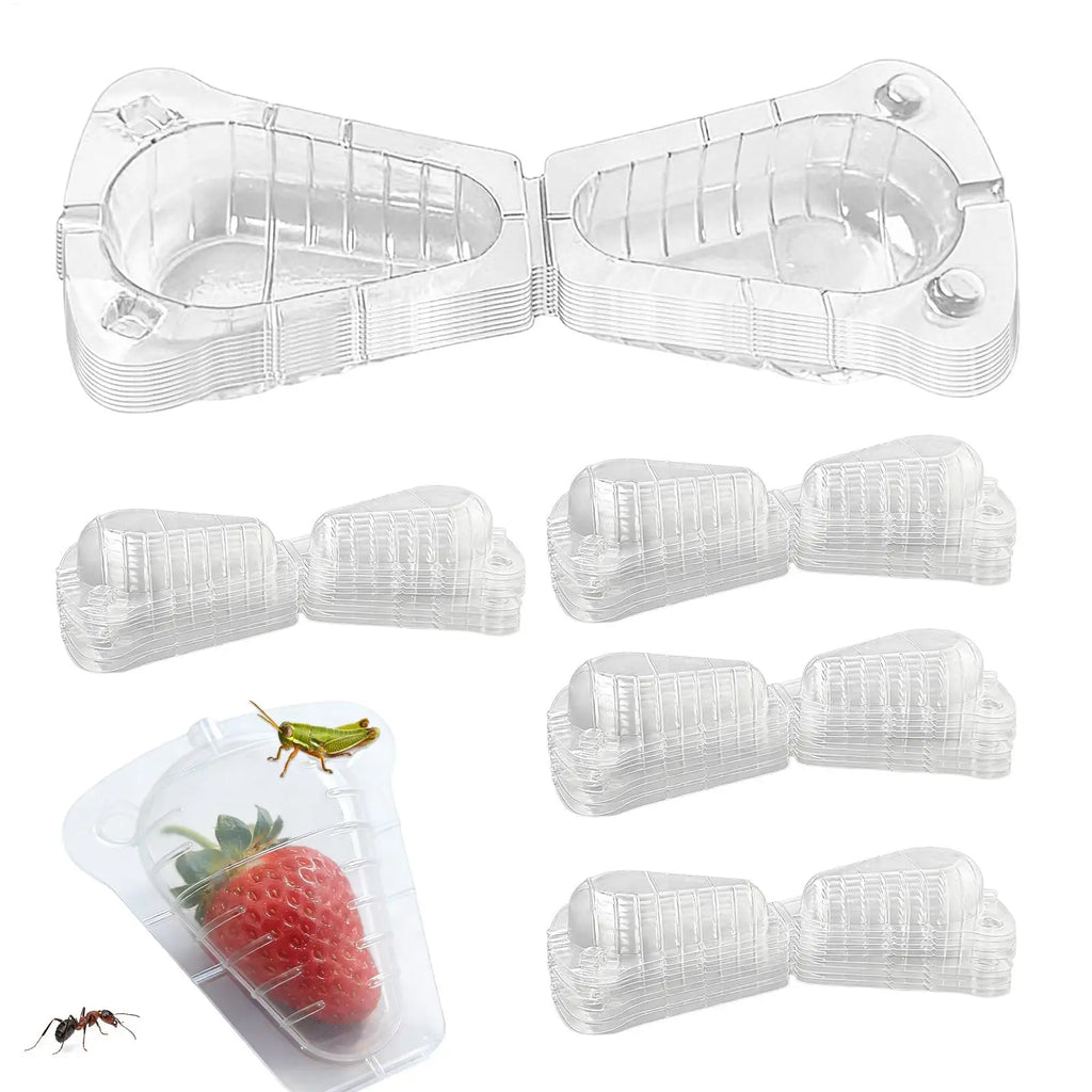 Strawberry Protectors 50-Pieces Clear Reusable Ventilation Cover