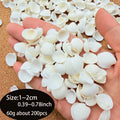 Small Natural White Clam Shells for Crafting, Jewelry Creation, Home Decoration, And Vase Embellishments Zpaxo 60G about200pcs