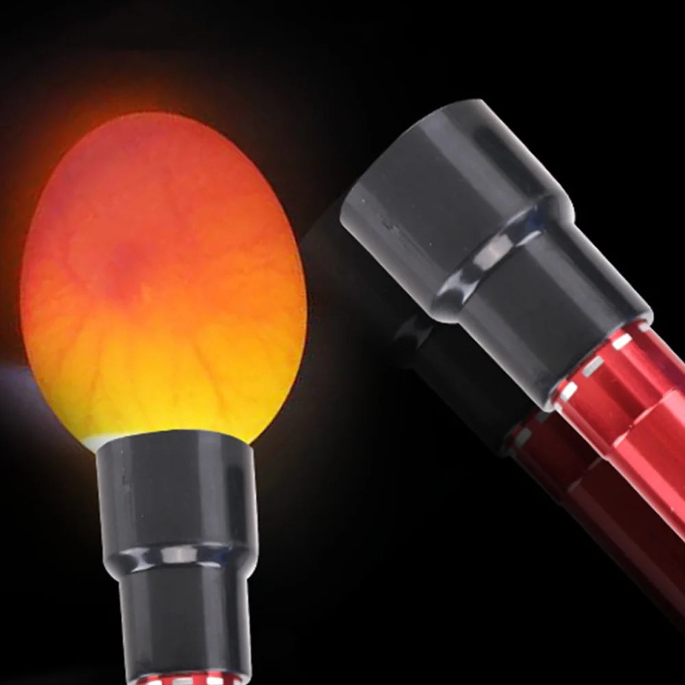 9 LED Egg Candler Flashlight – Ultra Bright Poultry Candling Lamp Egg Candler Flashlight Zpaxo