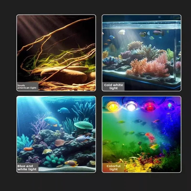 Color-Changing LED Aquarium Spotlight | USB Waterproof Fish Tank Light