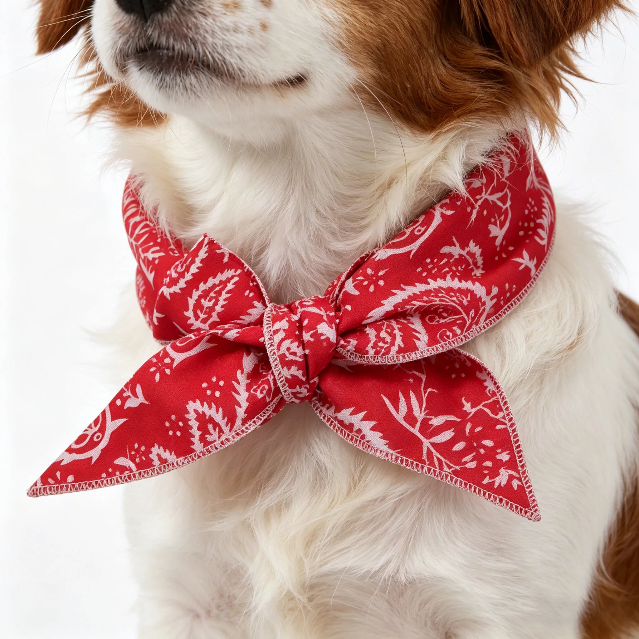 Cartoon Pet Cooling Neck Wrap Cat Dog Ice Scarf Summer Heat Relief Zpaxo Red 1PC