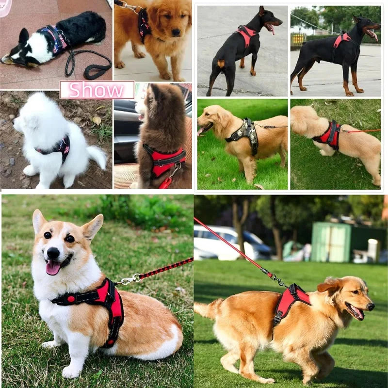 No-pull Dog Harness Leash Adjustable Comfort Fit Easy-control Handle