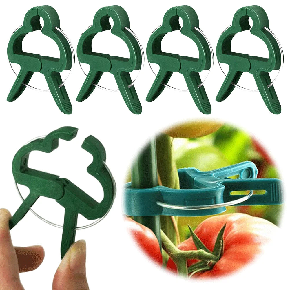 20/50Pcs Garden Tomato Plant Support Clips Reusable Vines Grow Upright Climbing Tool for Fixing Stems of Flower Vine Vegetables Zpaxo