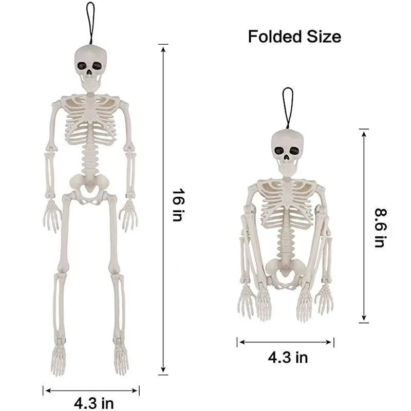 Poseable Skeleton Prop Articulated Joints Hanging Skull Standing