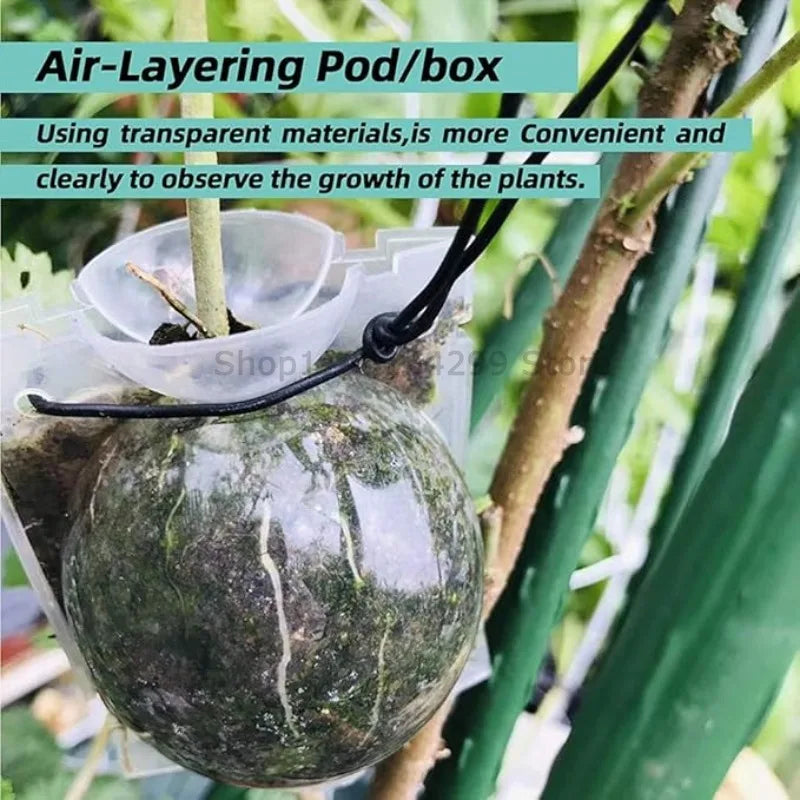 Plant Rooting Ball Grafting Rooting Box Breeding Case High Pressure Plant Root Growing Box for Garden Planting Supply Zpaxo