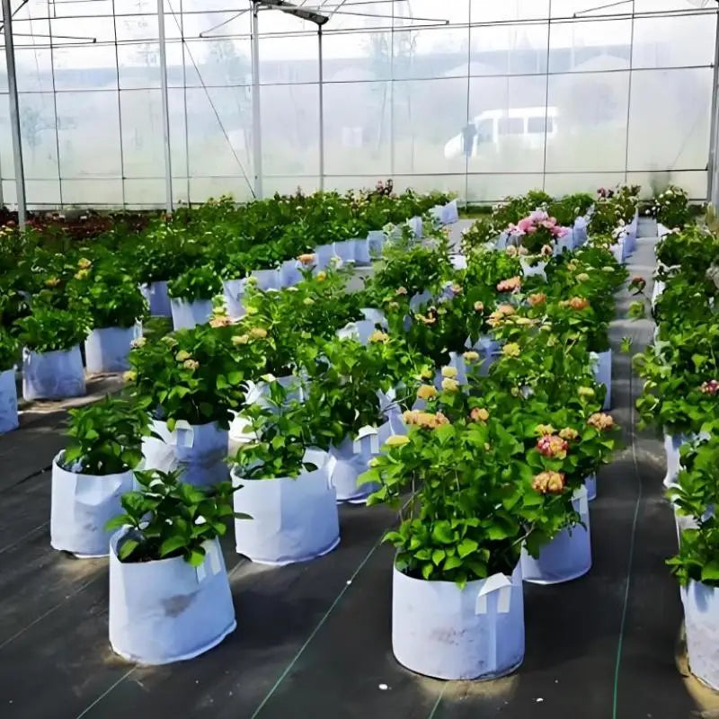5Size Round Fabric Pots Grow Bags Plant Pouch Root Container Cultivation Pot Planting Grow Bag jardineria семена овощей Zpaxo
