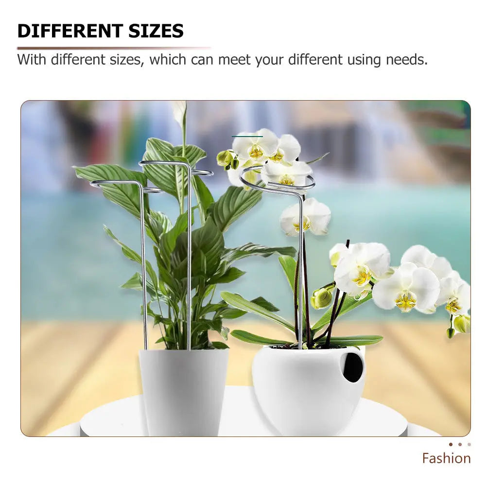 8Pcs Plant Support Stakes Iron Garden Flower Support Bracket Climbing Plant Rack for Potted Plants Tomatoes Vines Vegetables Zpaxo