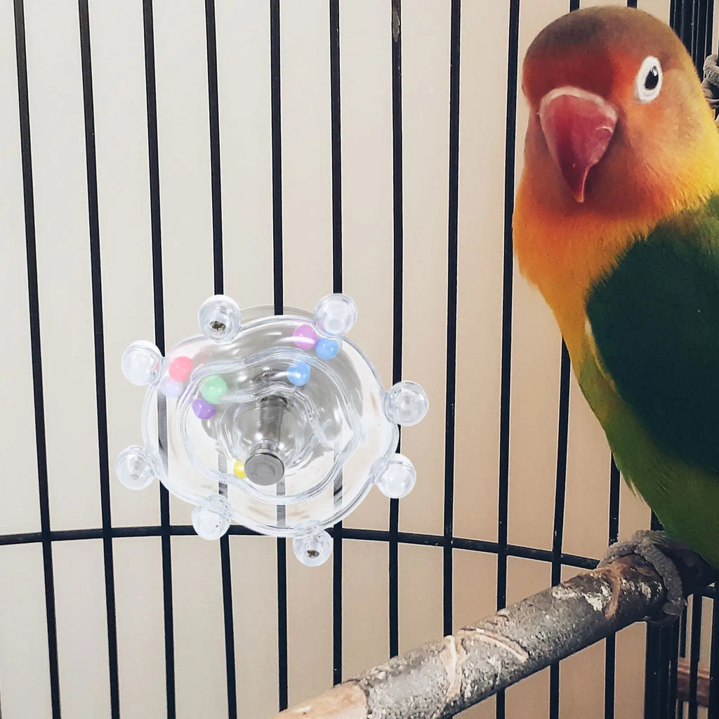 Small Parrot Hanging Wheel Rotating Interactive Climbing Workout Cage