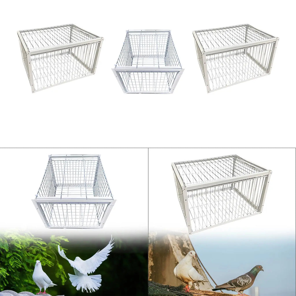 Pigeon Trap Humane Poultry Care Single Way Entry Metal Welding Coop Zpaxo