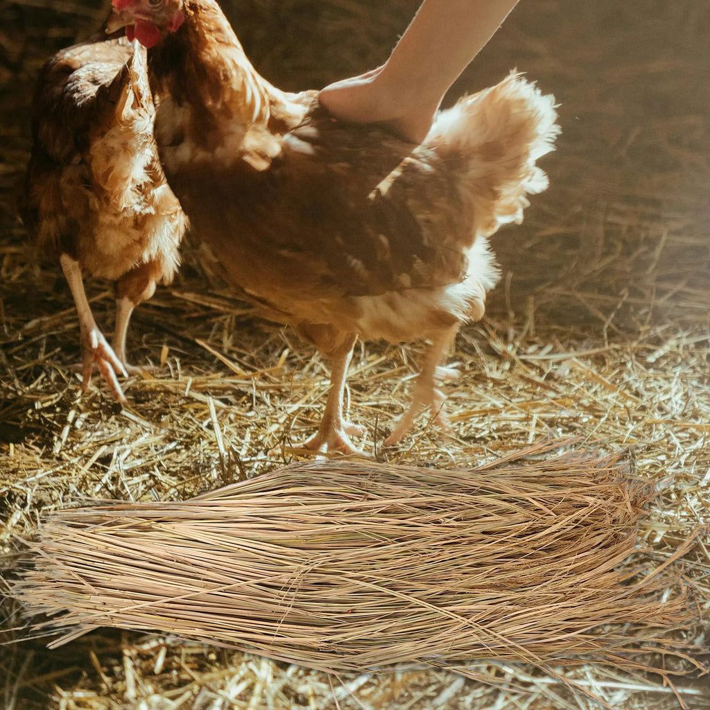 Straw Nesting Pads Chickens Natural Chicken Coop Bedding Nest Box