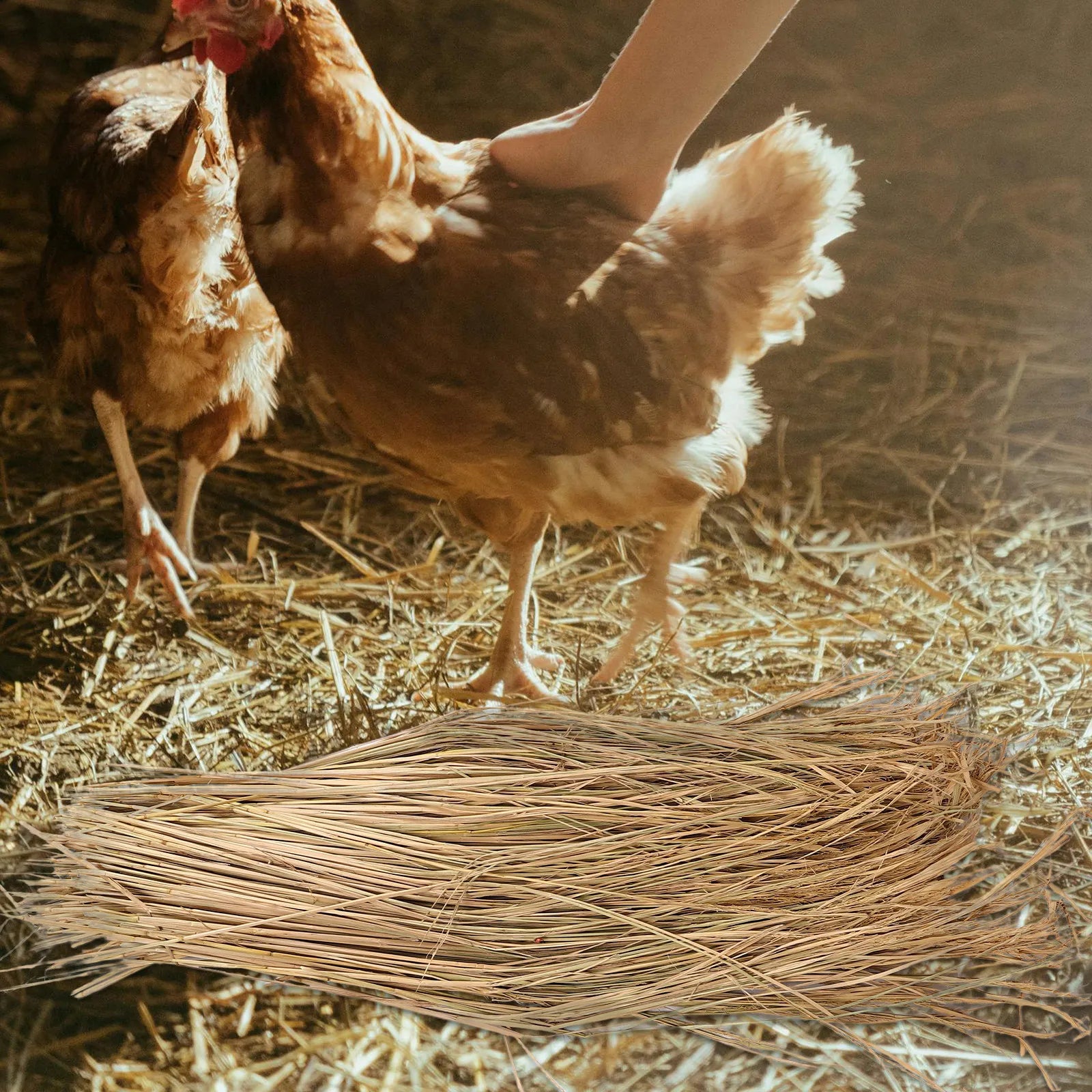Straw Nesting Pads Chickens Natural Chicken Coop Bedding Nest Box
