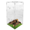 Jumping Spider Habitat Mantis Acrylic Terrarium Spider Enclosure Ventilated Reptile Animal Cage for Breeding Observation Frog Zpaxo Default Title