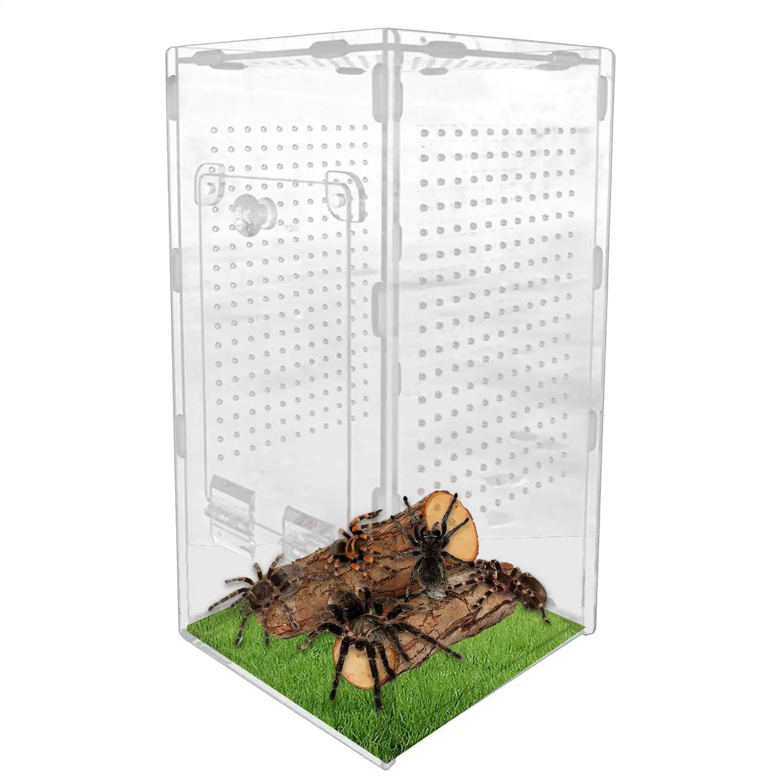 Jumping Spider Habitat Mantis Acrylic Terrarium Spider Enclosure Ventilated Reptile Animal Cage for Breeding Observation Frog Zpaxo Default Title