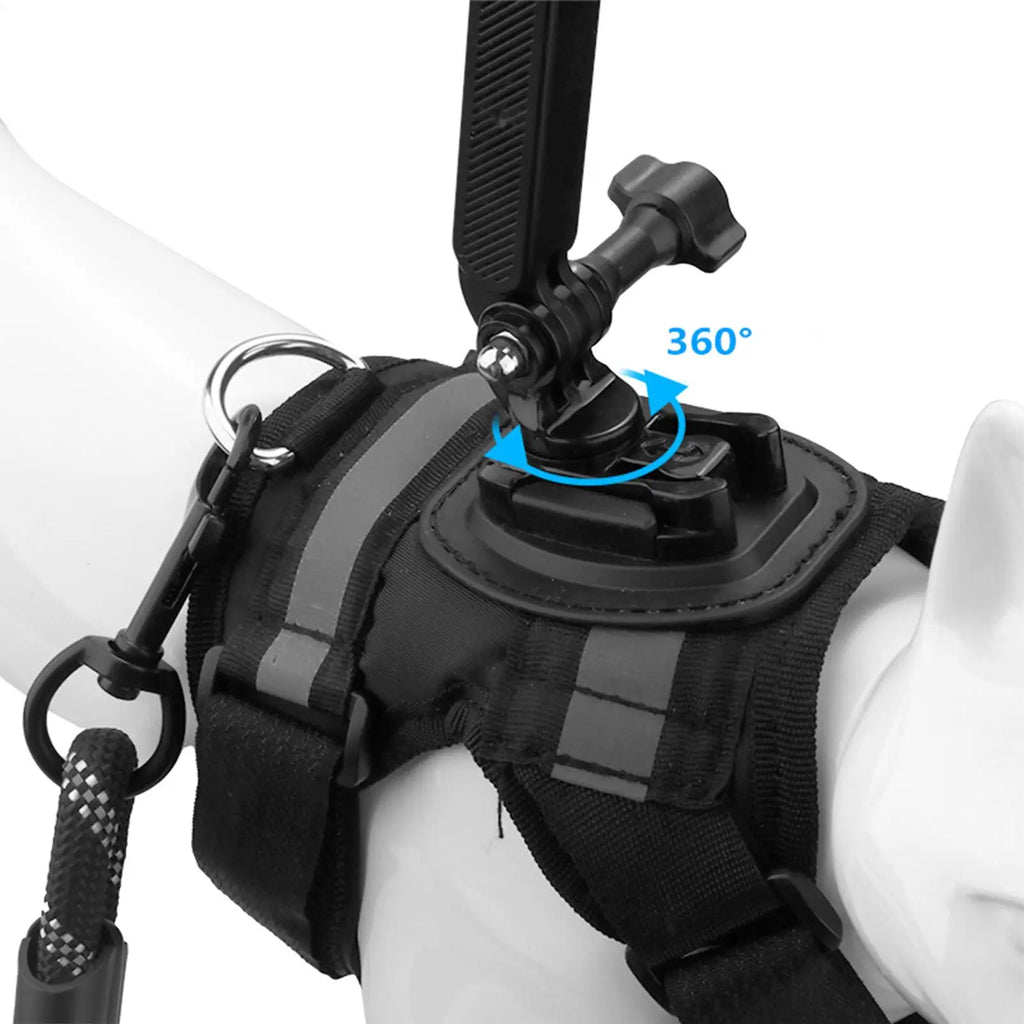 Escape Proof Cat Harness Escape Proof With Camera Mount Adult Cat Harness Vest For Training For Kitten Indoor Outdoor Hiking Zpaxo China Mainland