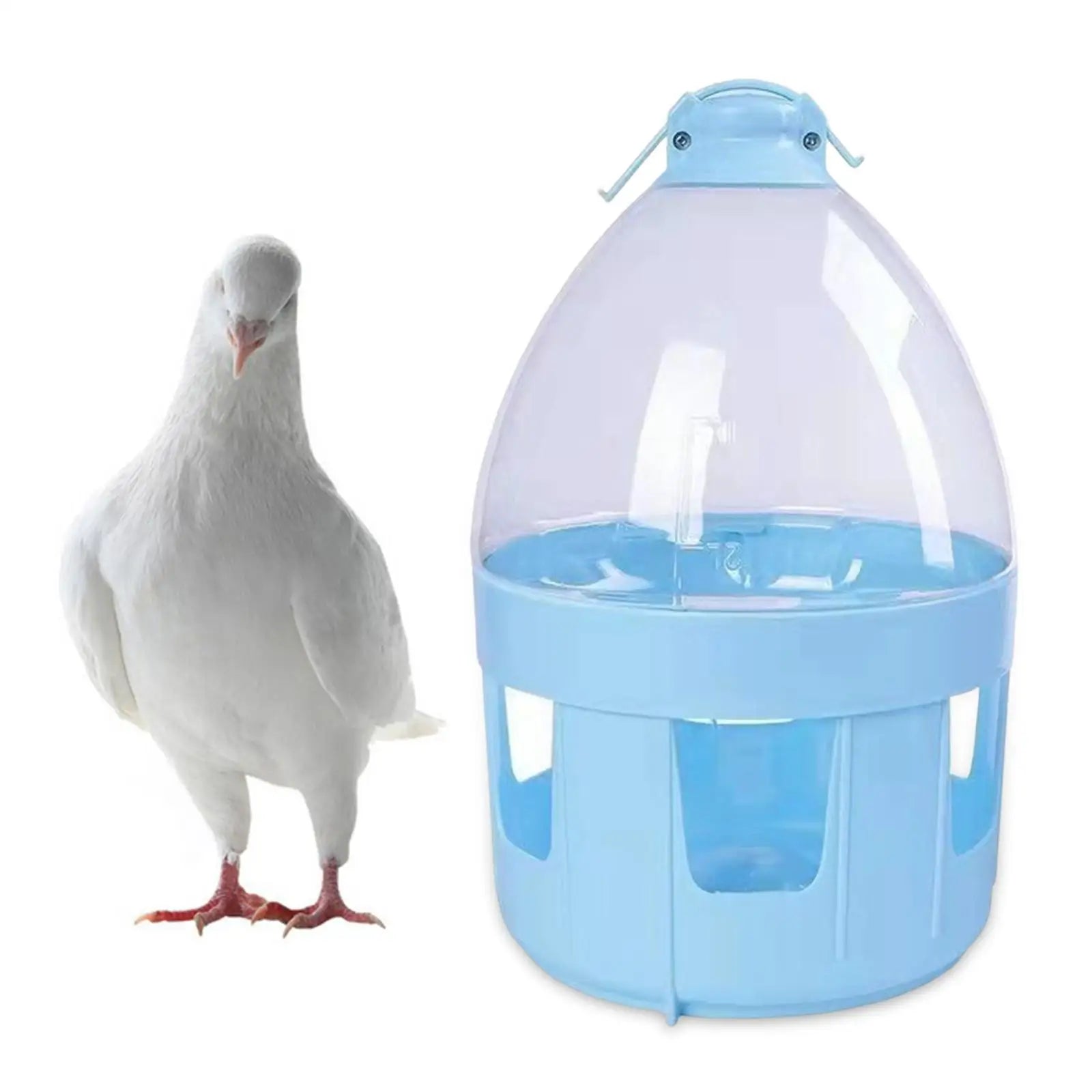 Pigeon Feeder Waterer Pet Supplies Portable Pigeon Automatic Water Feeder Automatic Pigeon Waterer for Quail Canary Drinking Zpaxo 6L