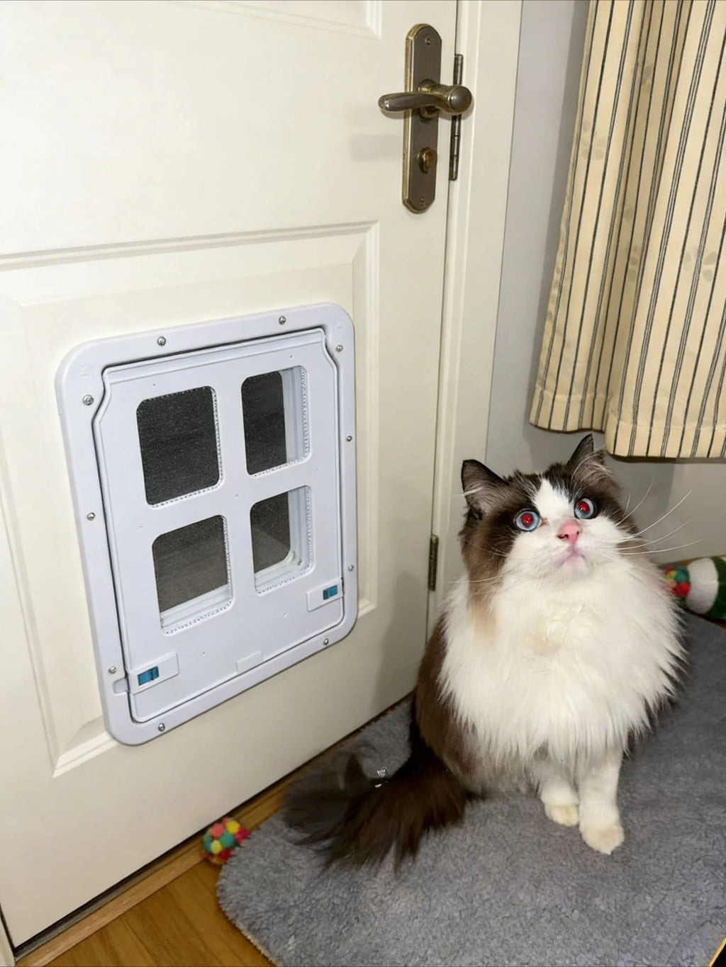 Hanging Mesh Pet Screen Door Small Dogs Cats Supplies Doors