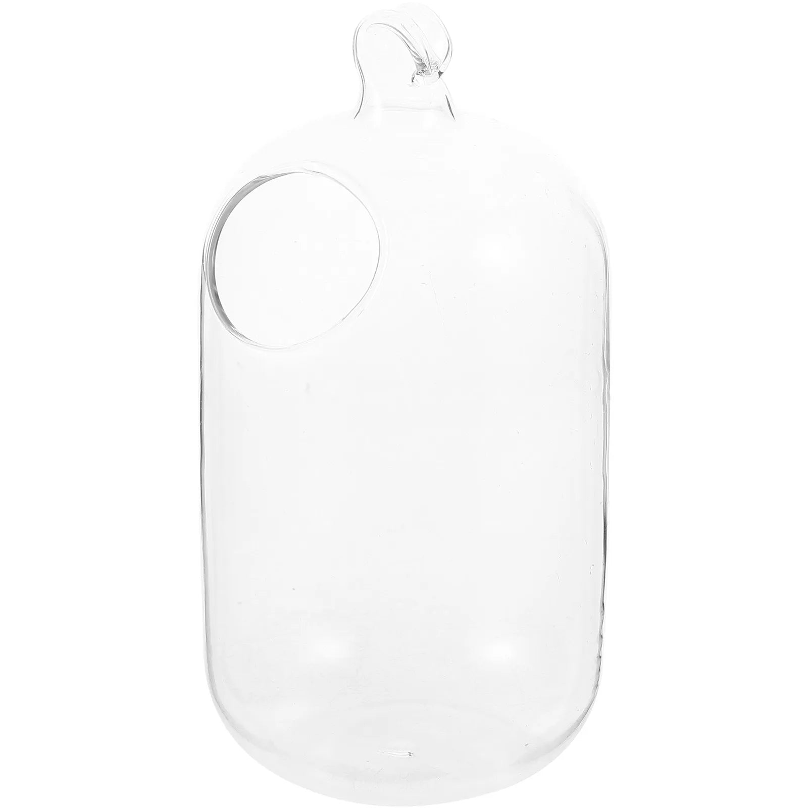 Transparent Hanging Glass Fish Tank Mini Aquarium Infusion Bottle