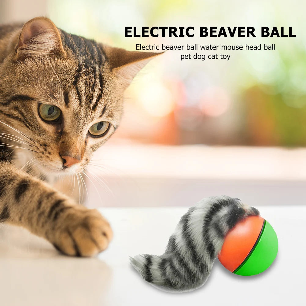 Electric Beaver Weasel Rolling Ball Pet Dog Cat Interactive Chasing Zpaxo