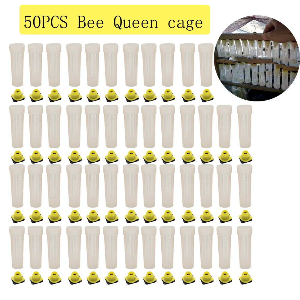 Nicot Bee Hair Roller Queen Cages Plastic Protective Sealed Cell