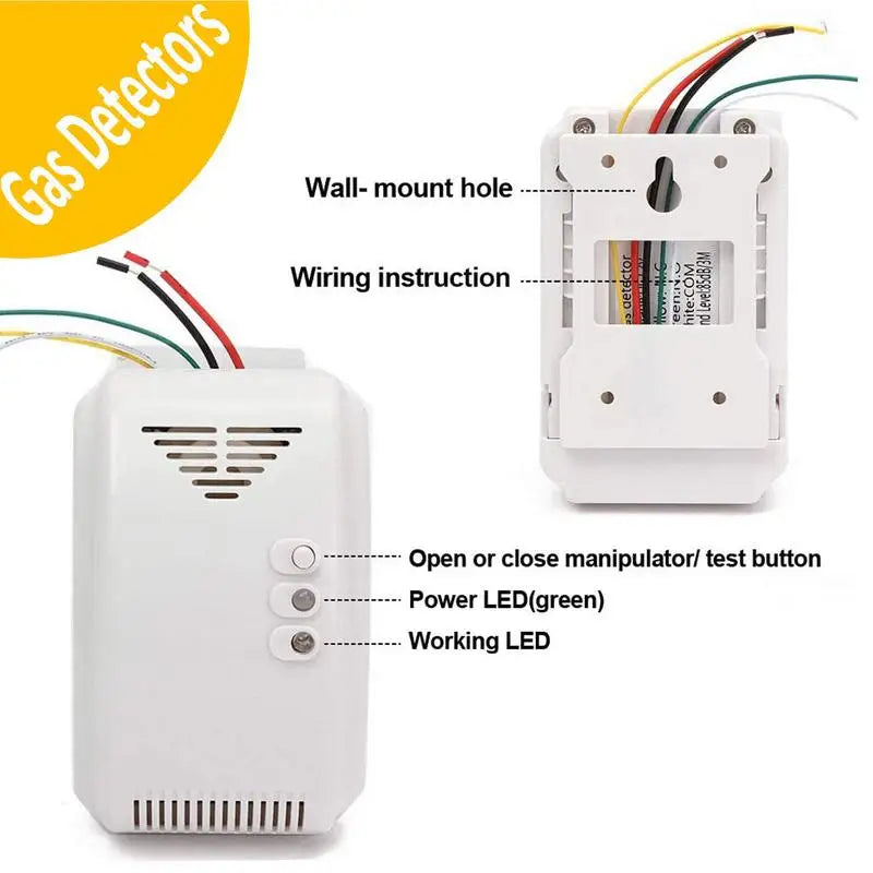 12V Gas Detector Sensor Alarm Propane Butan E LPG Natural Motor LN G
