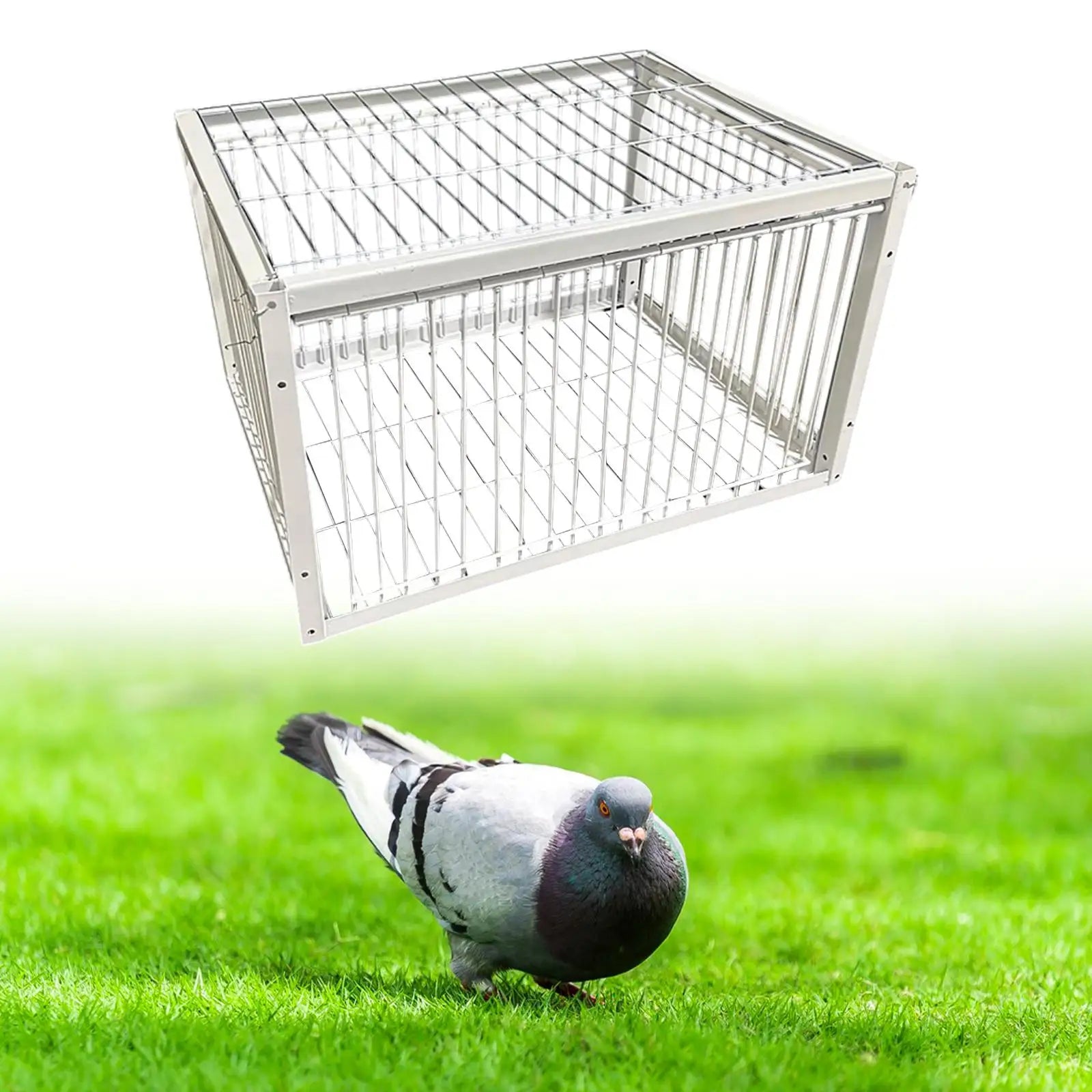Pigeon Trap Humane Poultry Care Single Way Entry Metal Welding Coop Zpaxo