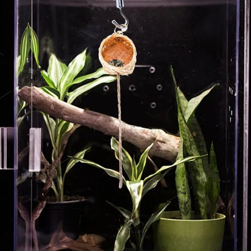 Magnetic Jumping Spider Hideawa Y Pet Habitat Climbing Rope