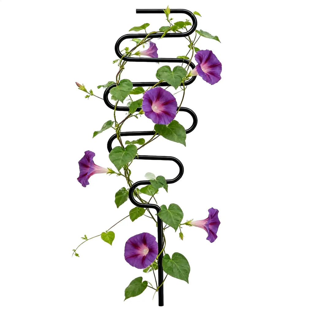 Iron Plant Trellis Support Stakes – Indoor & Outdoor Climber Pole Plant Support Stake Zpaxo