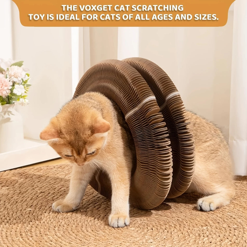 Cat Toys Indoor Cats Interactive Magic Organ Scratch Board Compact