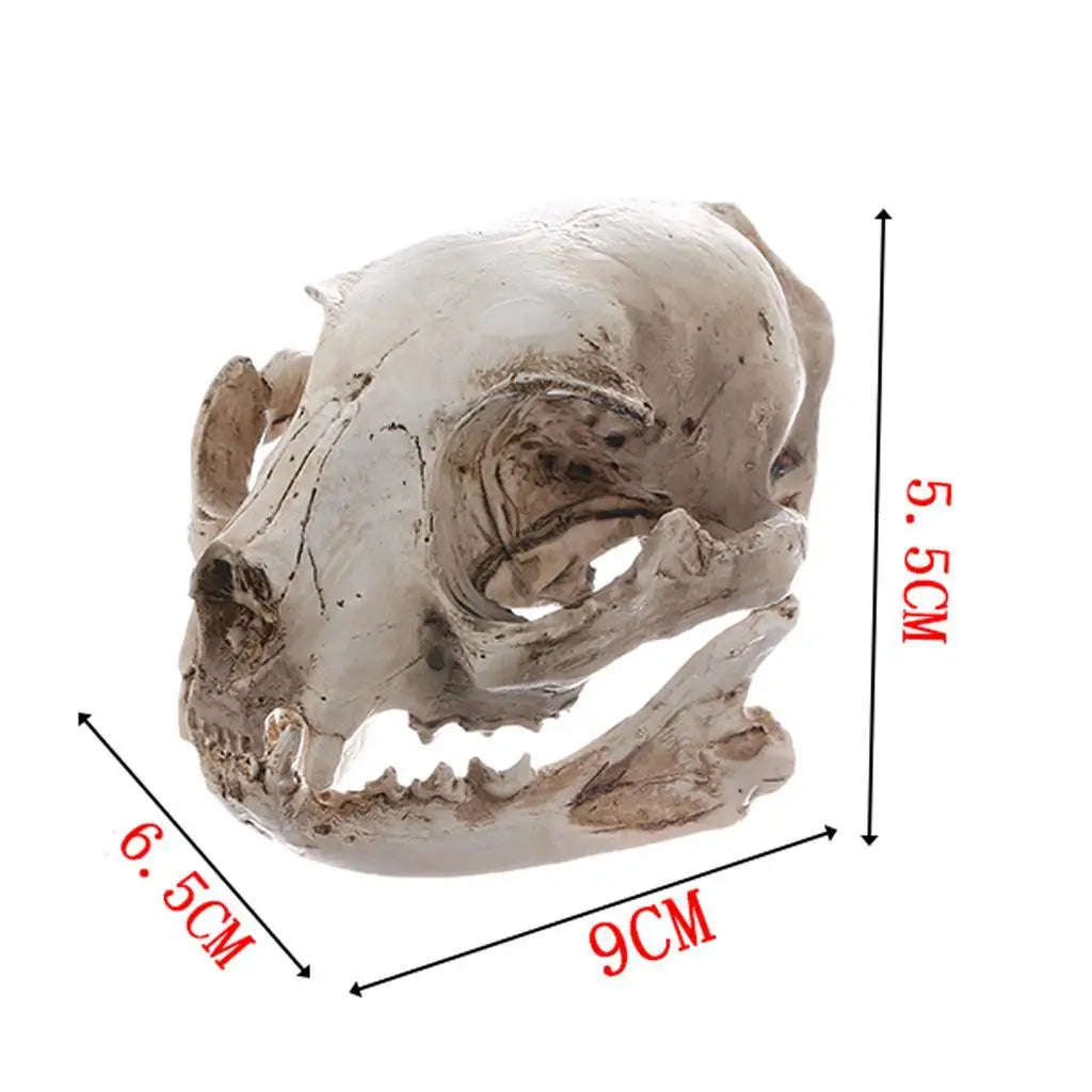 White Resin Cat Skull Model Collectible Figurine Nautical Statue Zpaxo