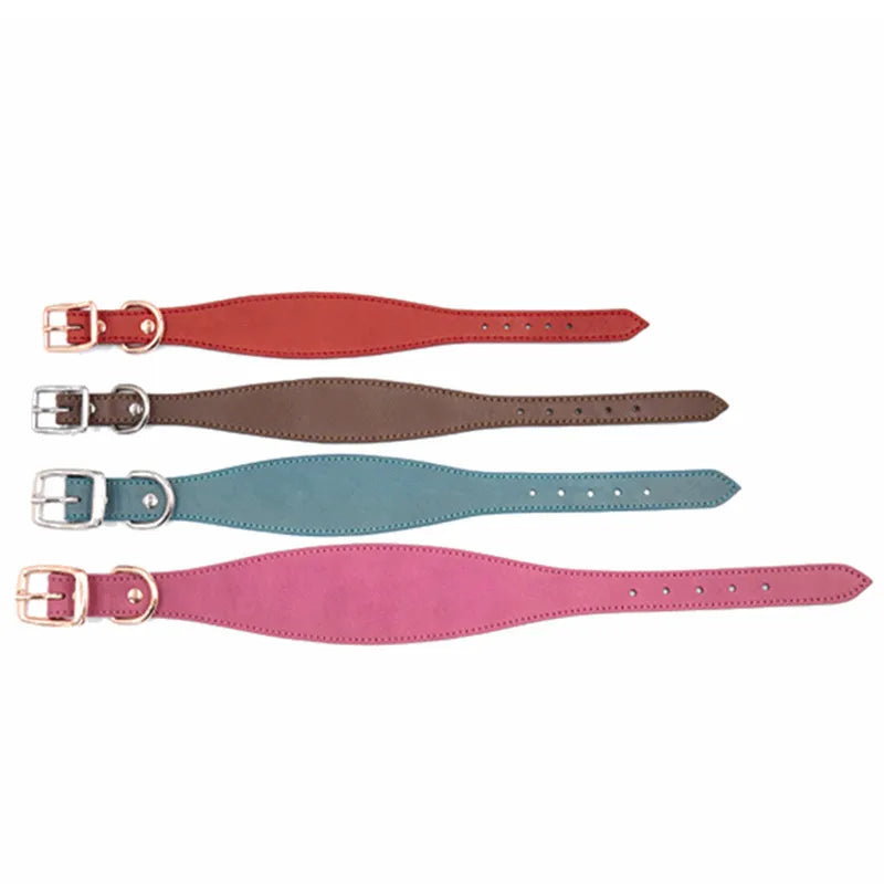 Collar Whippet Leather Soft Suede Pedded Wide Collars Lurcher Italian