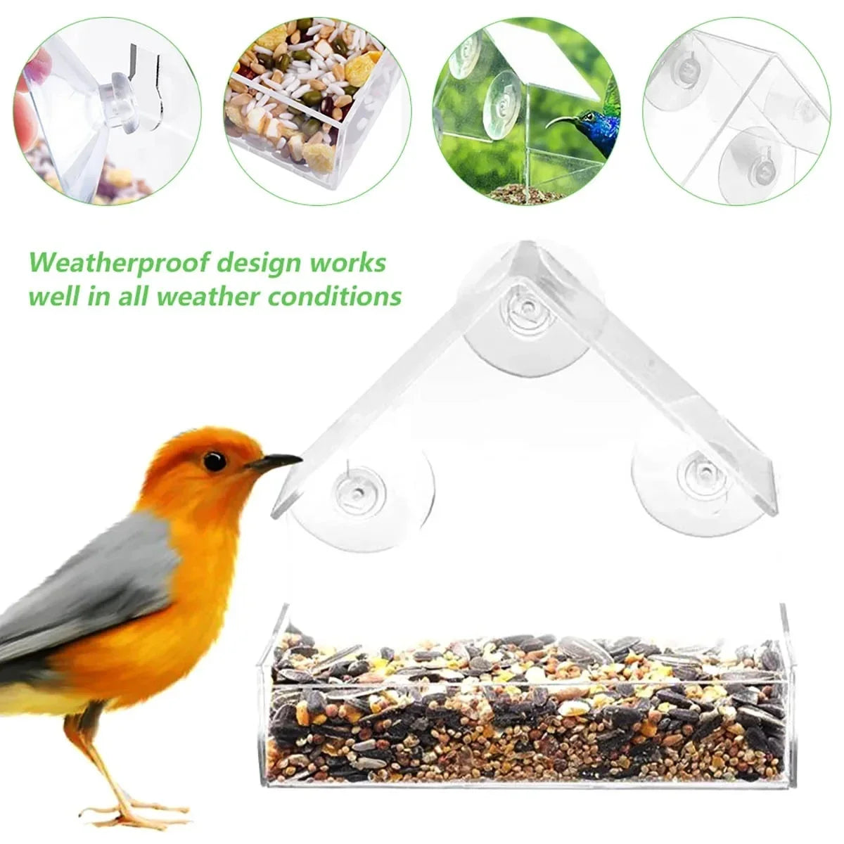 House Transparent Window Wild Bird Feeder Outdoor Removable Suction