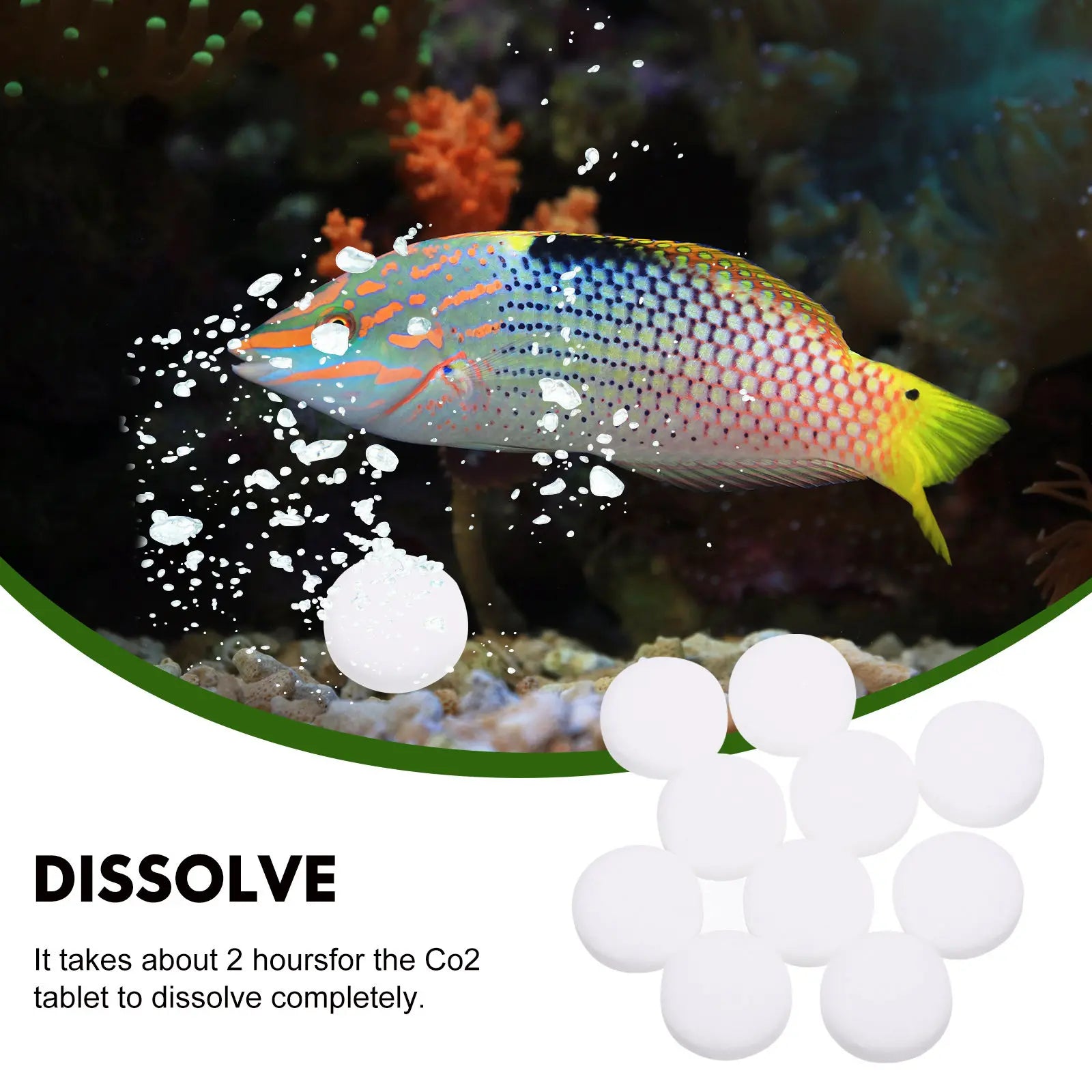 2 Bags Portable Co2 Tablets Household Aquarium Supplement Easy Use