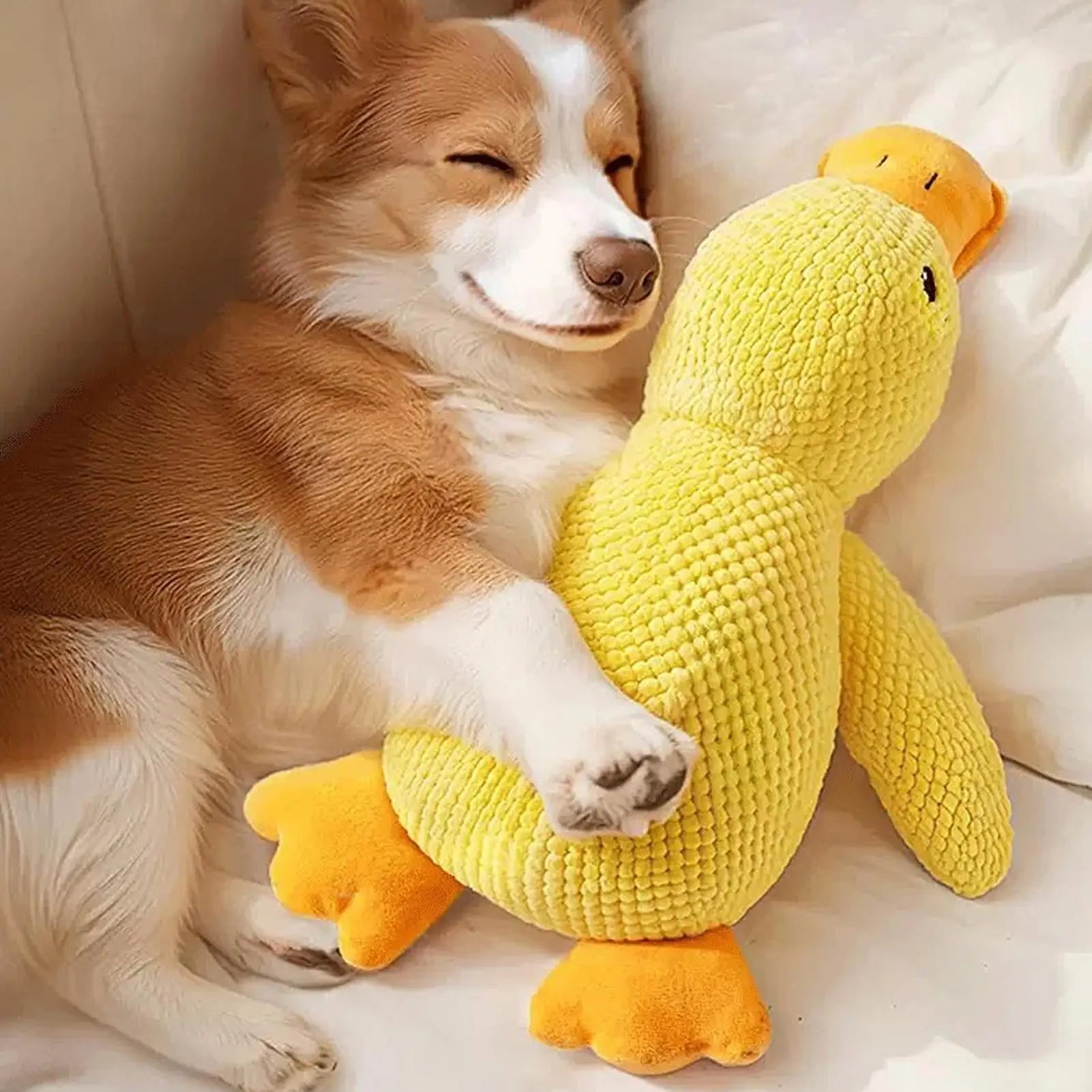 Duck Dog Toy Squeaky Interactive Soft Comfort Teething Supplies Dog Toys Plush for Travel Beach Pool Park Yard Bedroom Garden Zpaxo