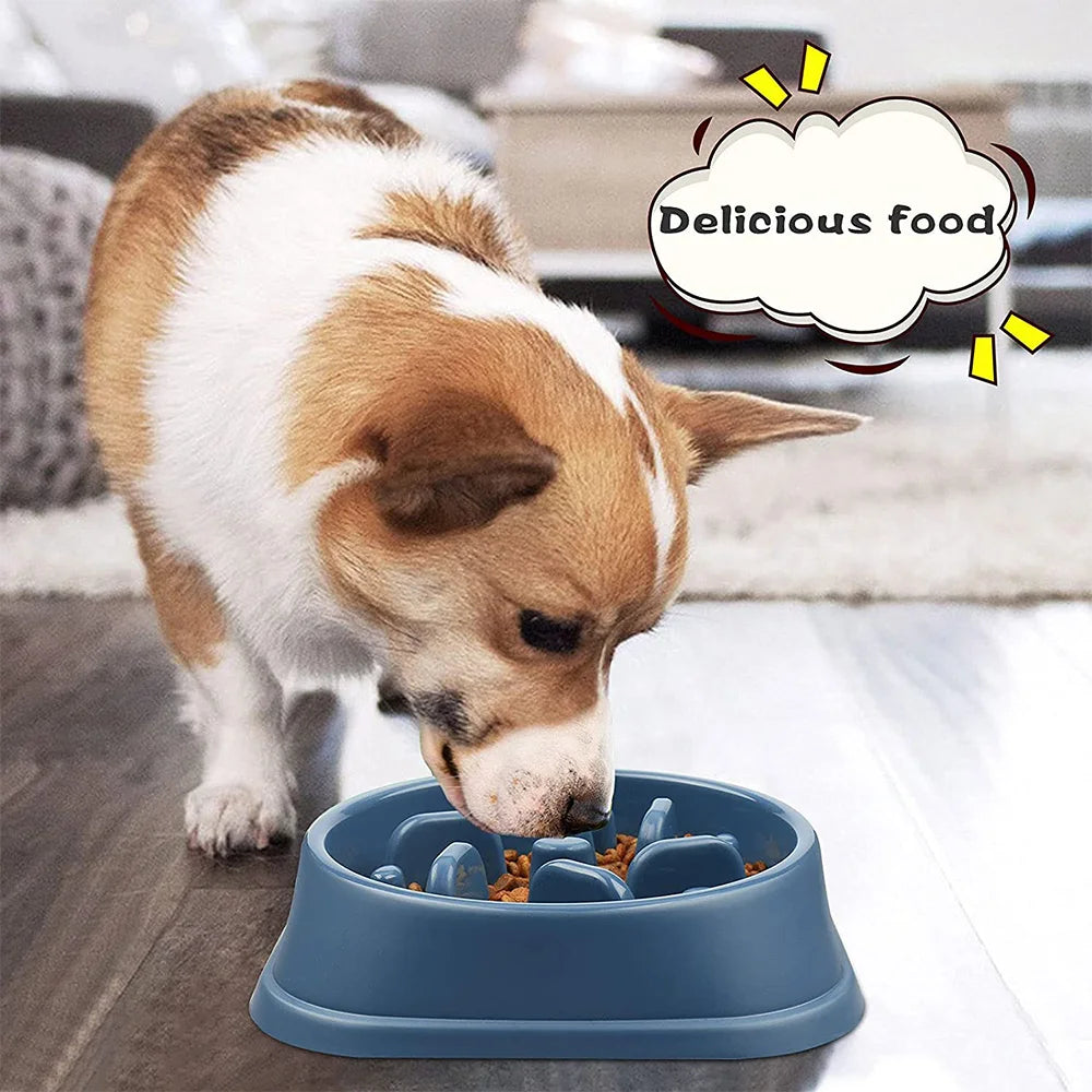 Pet Dog Slow Feeder Bowl Non Slip Puzzle Anti-gulping Slower Food Zpaxo