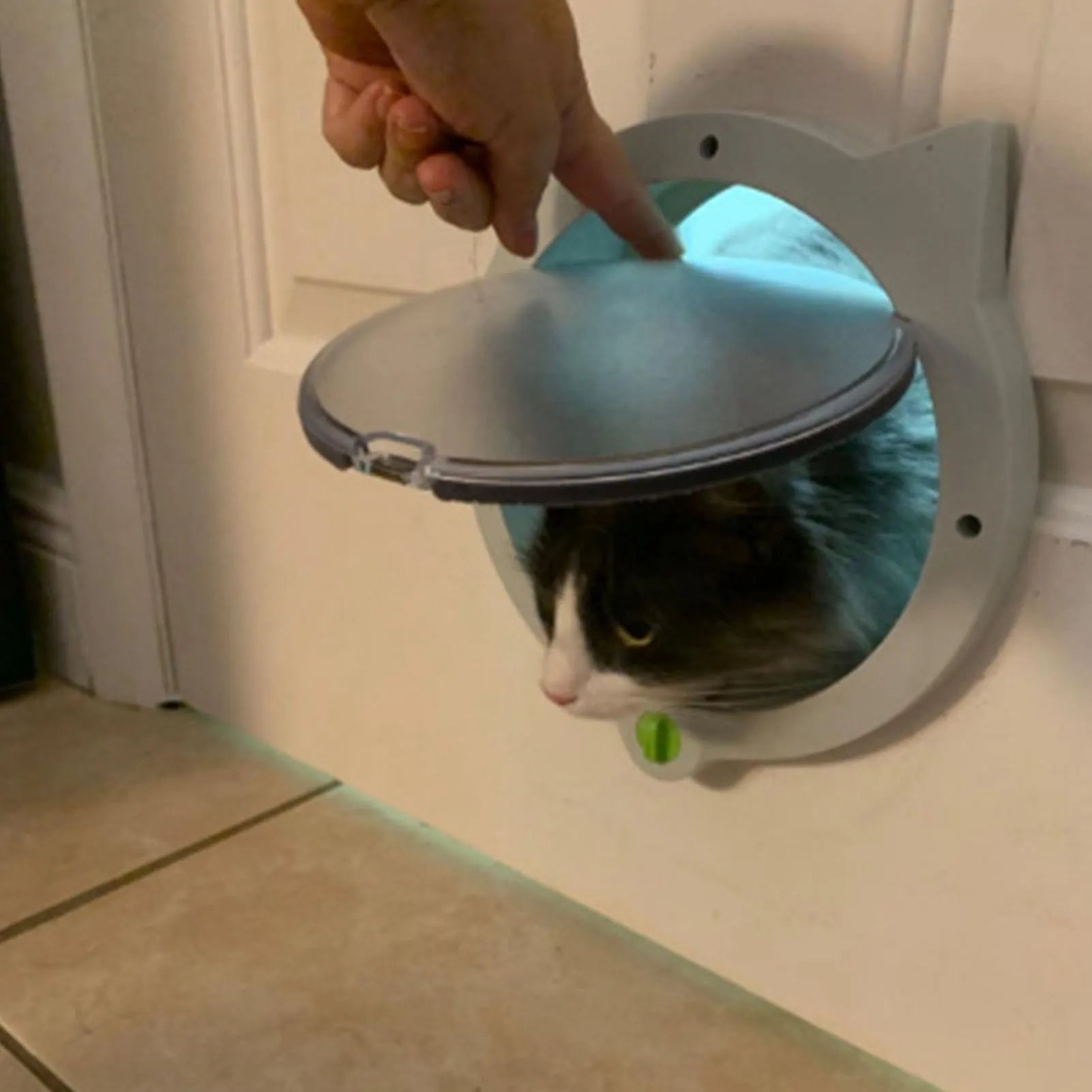 Small Round Cat Door 4-way Lock Pet Plastic Window Lockable Safe Gate