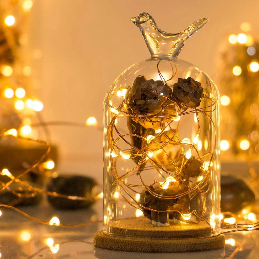 LED Fairy String Light 2M 20LED Battery Operated Copper Wire Warm White for Christmas Wedding Party Decor Indoor OutdoorLighting Zpaxo