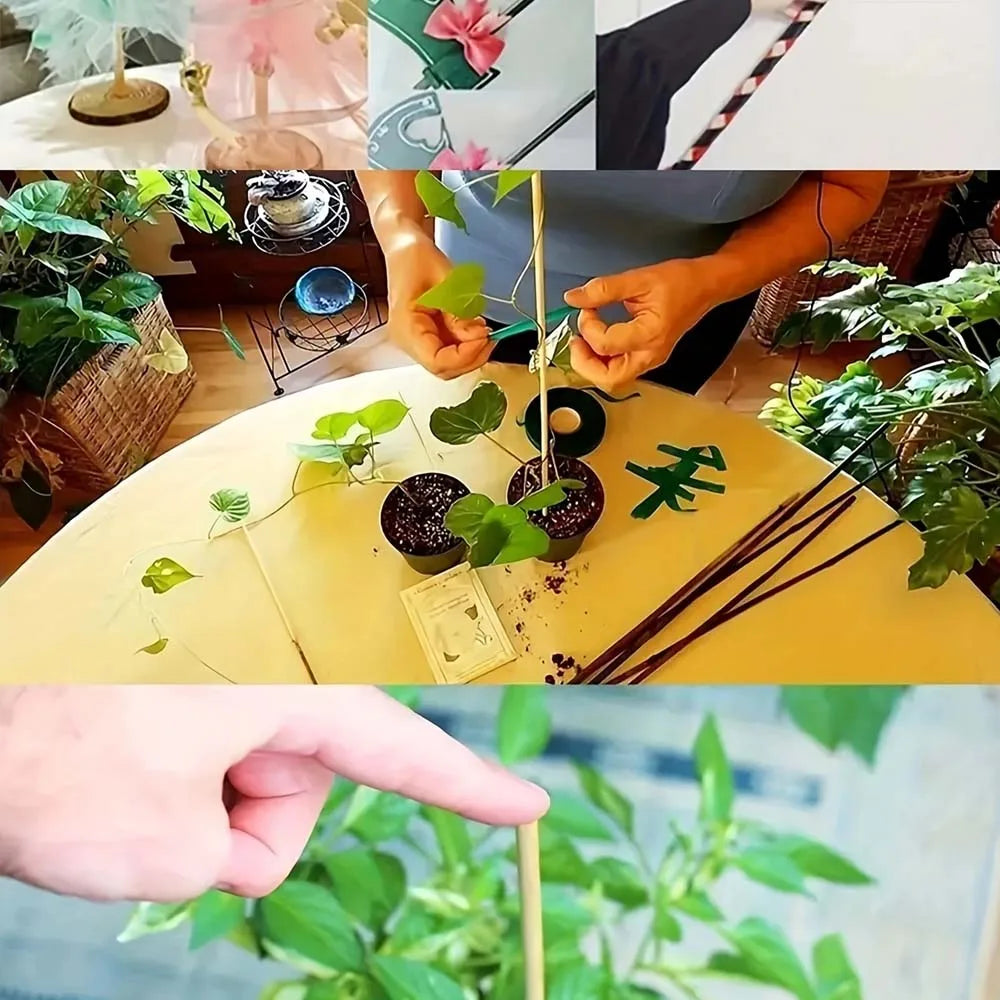20-Pack Wooden Craft Sticks – Garden Stakes & DIY Crafting Wooden Craft Sticks Zpaxo
