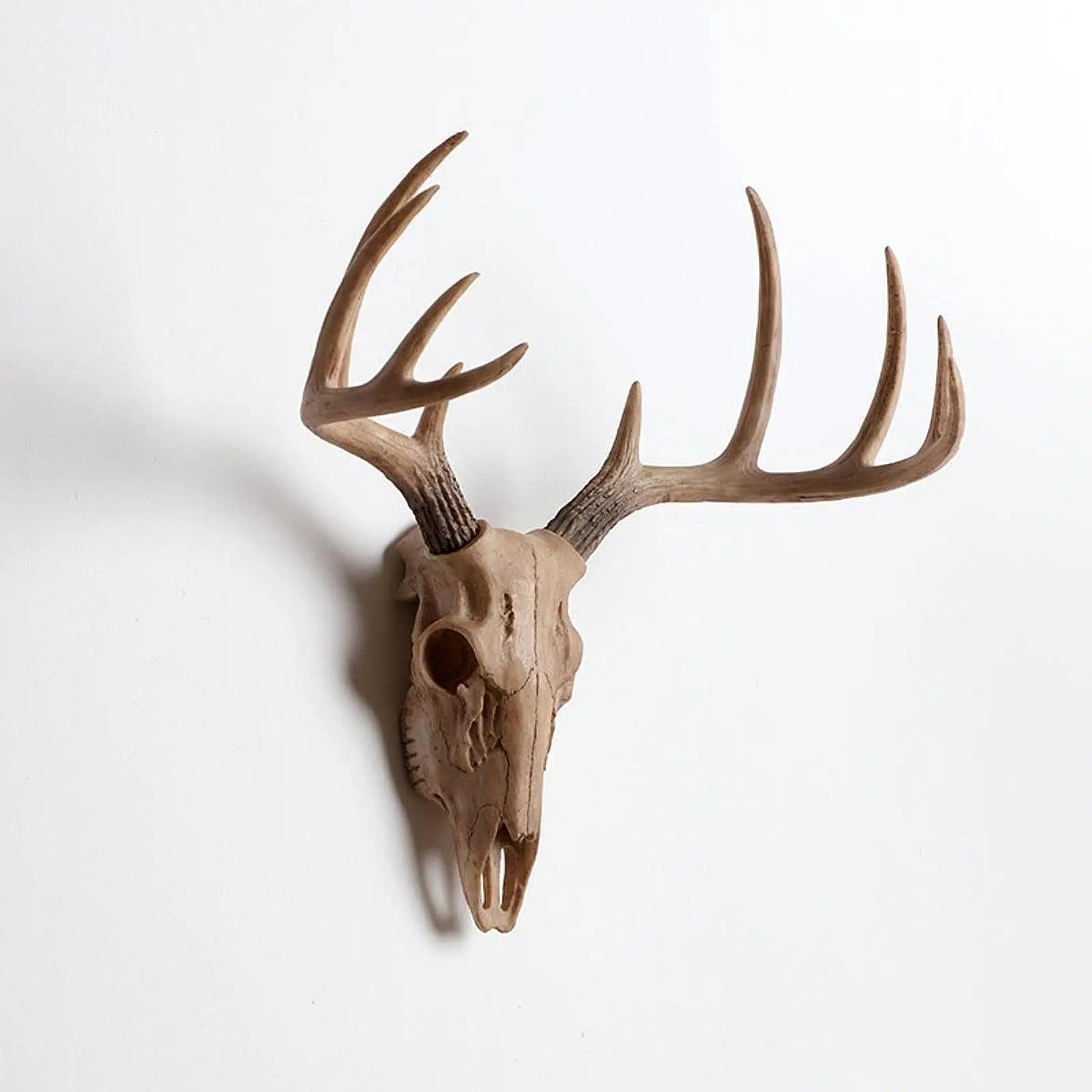 3D Sheep Skull Wall Sculpture – Vintage Resin Animal Wall Decor Wall Sculpture Zpaxo Brown