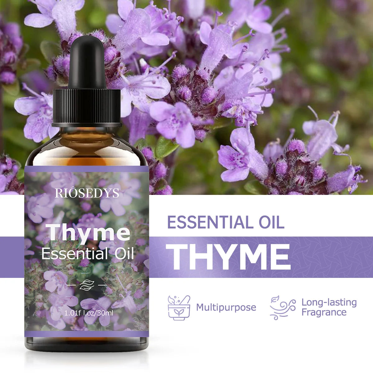 Thyme Essential Oil Its Floral Fragrance Perfect Aromatherapy Body Zpaxo