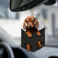 Cute Funny Car Decoration Key Chain 6 Styles Pocket Pendant Rearview Zpaxo 5