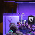 Aquarium Portable Air Pump Pond Aeration System Solar Aerator Powered