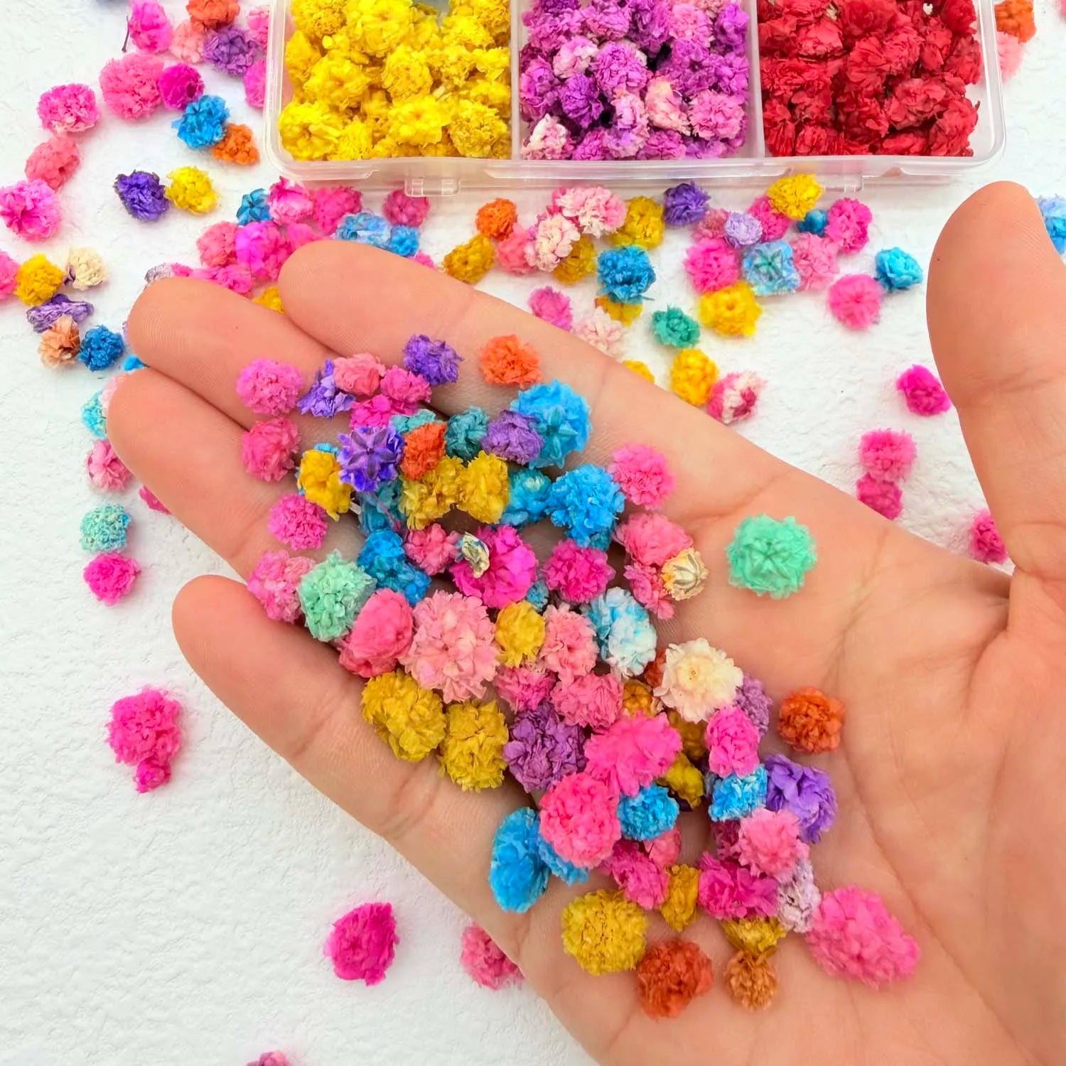 1Bag Flowers for Nail Art Craft Candle Soap Making Wedding Party DIY Epoxy Resin Crafts Home Decoration Mini Pressed Flower Zpaxo