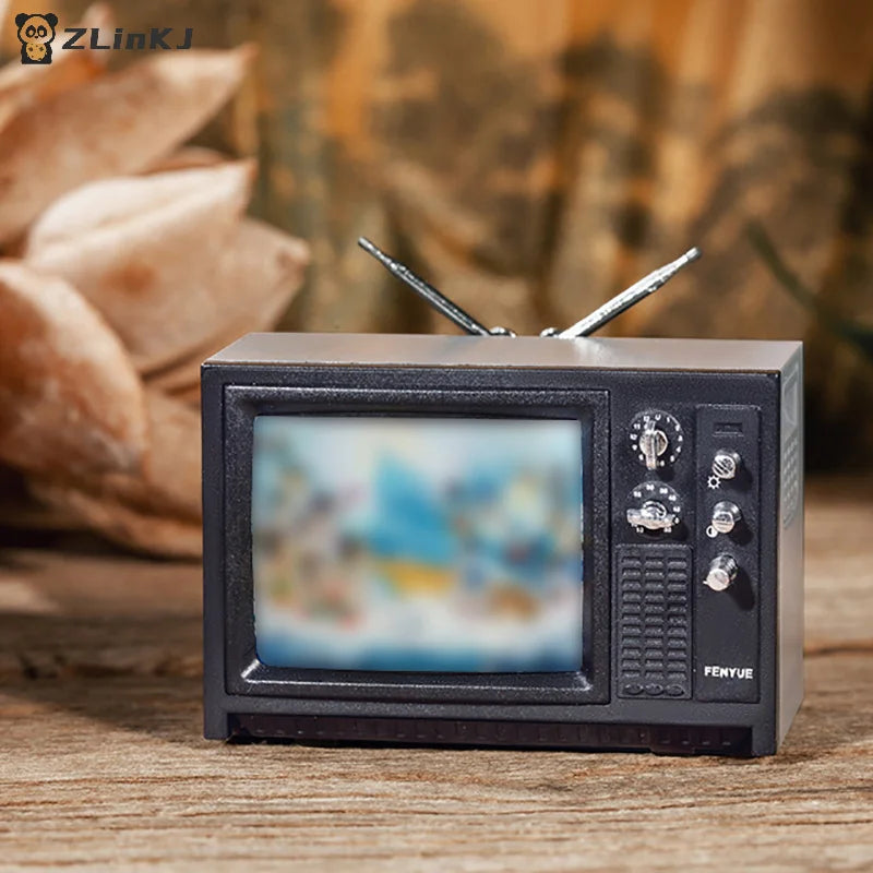 ▶1Pcs Mini Retro TV Miniature Ornaments DollHouse Toy Ornaments Zpaxo
