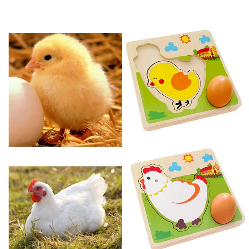Wood 3D Puzzle Chick Grow Hens Laying Eggs Process Jigsaw Learning