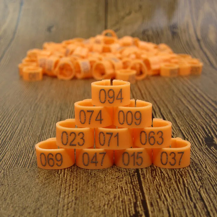 Bird Clip Ring ID Plastic Digital Markup Parrot Pigeons 10 Colors Zpaxo Orange