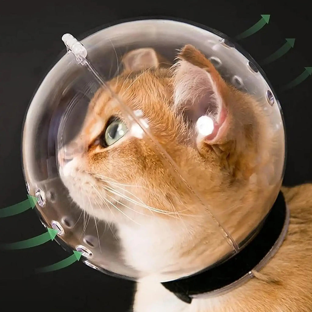 Cat Bubble Muzzle Breathable Sturdy Muzzle Mask Cat Head Cover Space Hood Protective Helmet Anti-bite Pet Grooming Supplies Zpaxo